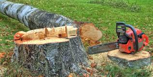 Best Utility Line Clearance  in Glen Rock, PA