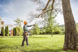 Trusted Glen Rock, PA Tree Care Experts